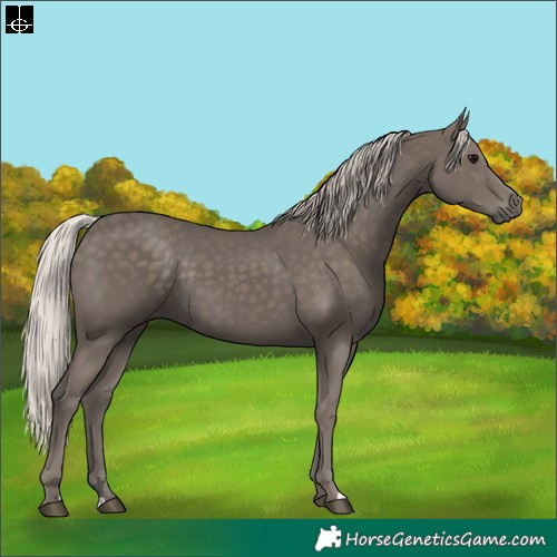 Horse Color:Silver Black