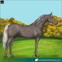 Horse Color:Silver Black