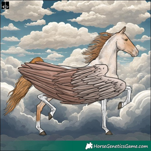 Horse Color:Red Roan Pearl Tobiano Frame