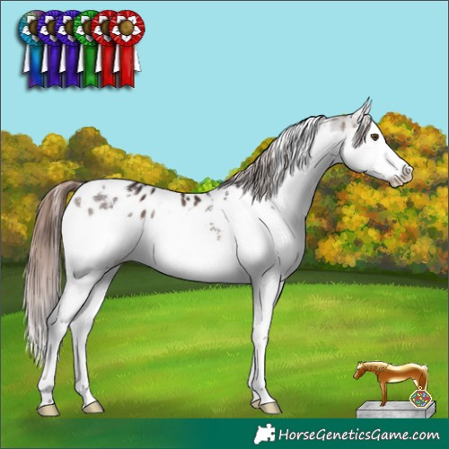 Horse Color:White Spotted Brown Sabino Splash Blanket 
