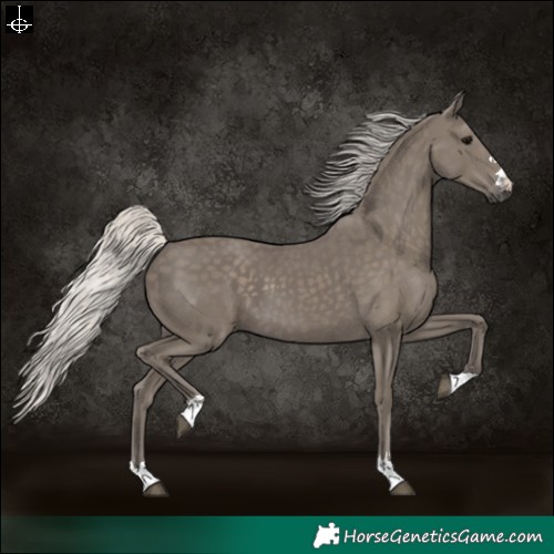 Horse Color:Silver Smoky Black 