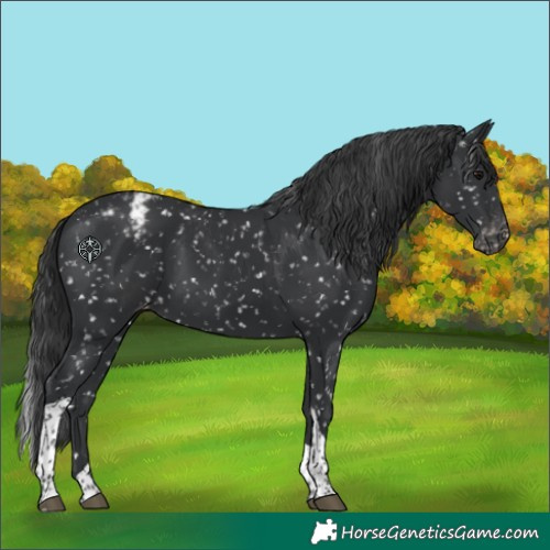 Horse Color:Black Tobiano Snowflake Varnish
