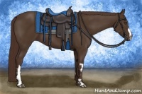 Horse Color:Liver Chestnut Frame 