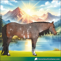 Horse Color:Bay Sabino Rabicano 