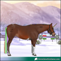 Horse Color:Painted Silver Brown Tobiano 