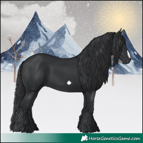 Horse Color:Black Frame 