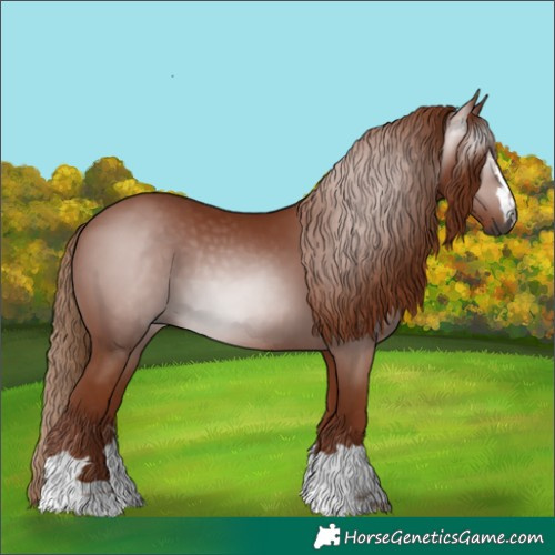 Horse Color:Gray Chestnut