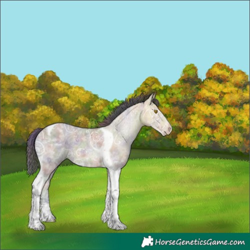 Horse Color:Nacre Amber Champagne Ice Tobiano 