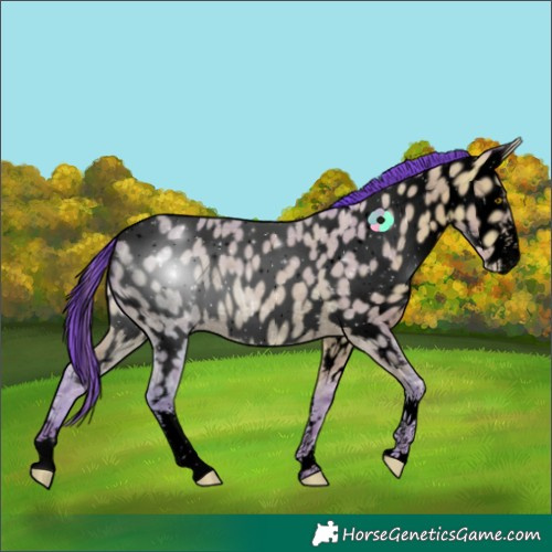 Horse Color:Void Watercolor Amber Champagne Ice Sabino Near Leopard 