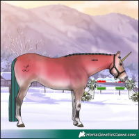 Horse Color:Painted Buckskin Onyx
