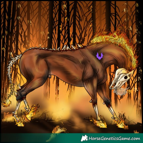 Horse Color:Bay Tobiano 