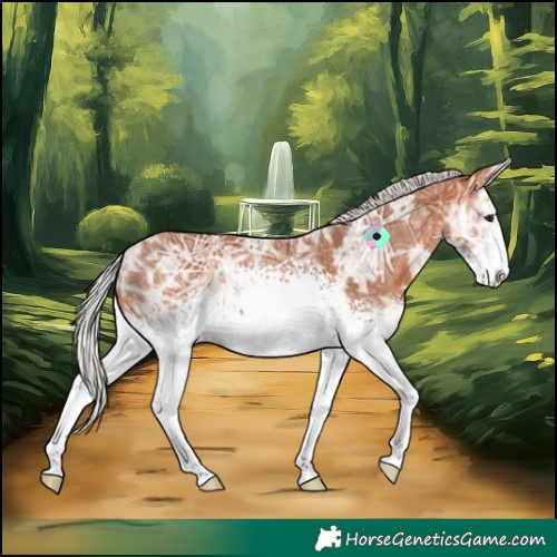 Horse Color:White Spotted Silver Bay Ice Sabino 
