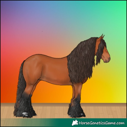 Horse Color:Bay 