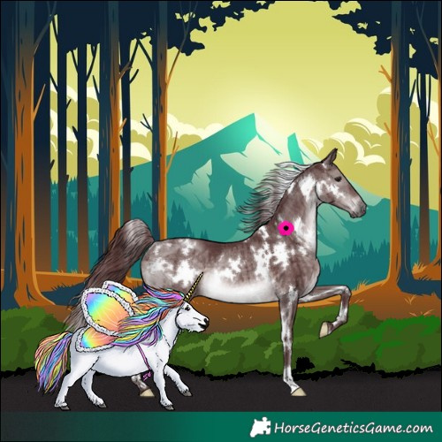 Horse Color:Platinum White Spotted Chocolate Brown Dun Rabicano Brindle 