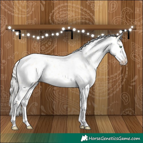 Horse Color:Silver Amber Cream Champagne Roan Dun Splash Tobiano Frame Appaloosa Rabicano