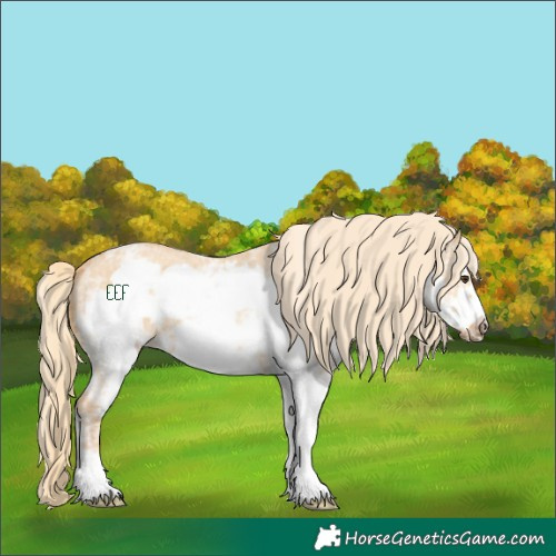 Horse Color:White Spotted Red Dun Ice Frame 
