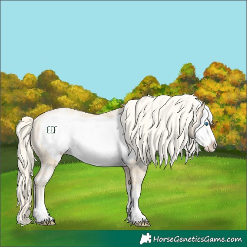 Horse Color:Palomino Ice Pearl Frame Rabicano 