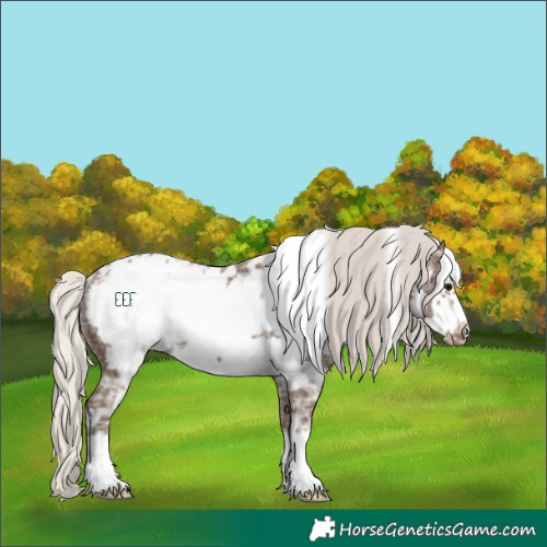 Horse Color:Silver Black Ice Frame Appaloosa Rabicano