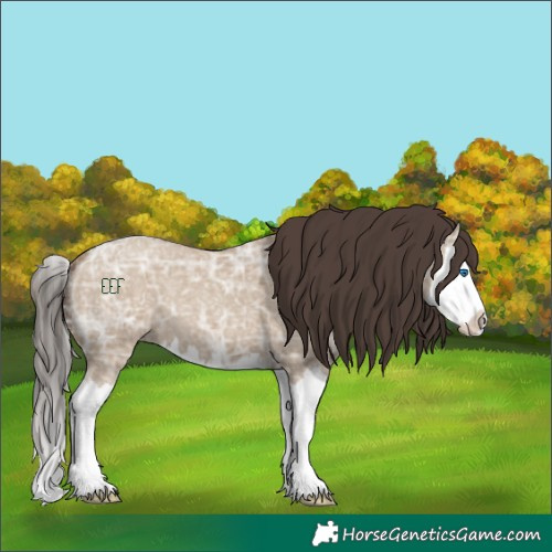 Horse Color:Classic Champagne Ice Dun Splash