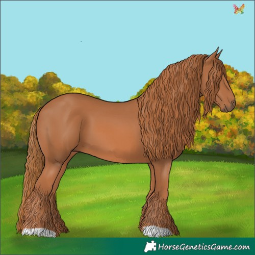 Horse Color:Chestnut 