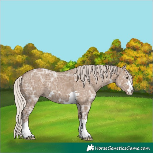 Horse Color:Silver Grullo Ice