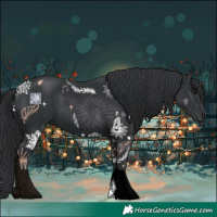 Horse Color:Black 