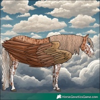 Horse Color:Chestnut Splash Frame and Gold Champagne Splash Frame