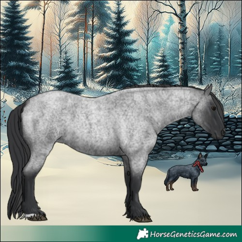 Horse Color:Blue Roan 