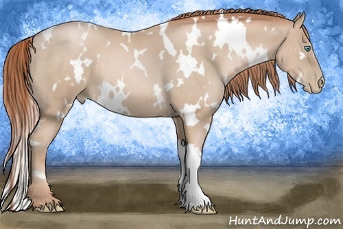 Horse Color:White Spotted Buckskin Pearl 