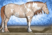 Horse Color:White Spotted Buckskin Pearl 