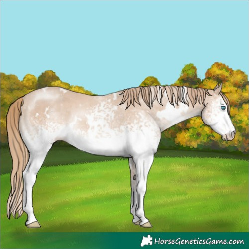 Horse Color:White Spotted Chocolate Smoky Creme