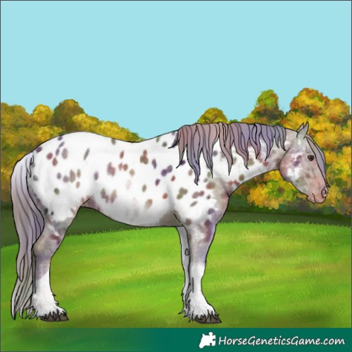 Horse Color:Nacre White Spotted Liver Chestnut Ice Tobiano Blanket
