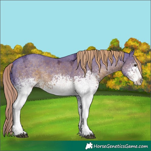Horse Color:Watercolor White Spotted Liver Chestnut Ice