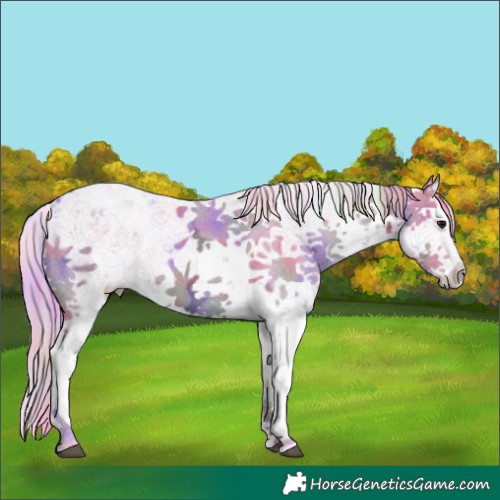Horse Color:Nacre Watercolor White Spotted Smoky Grullo Ice Sabino 