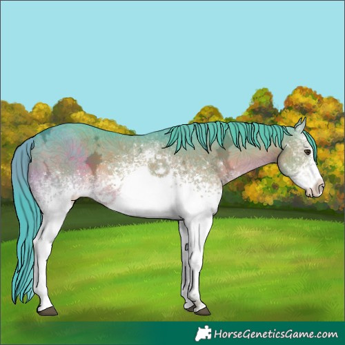 Horse Color:Watercolor White Spotted Liver Chestnut Ice Sabino