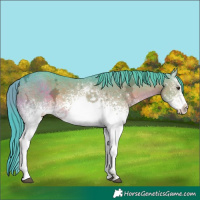 Horse Color:Watercolor White Spotted Liver Chestnut Ice Sabino 