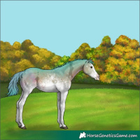 Horse Color:Watercolor White Spotted Liver Chestnut Ice Sabino
