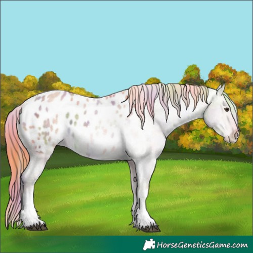 Horse Color:Nacre Watercolor Liver Red Dun Ice Sabino Tobiano Blanket