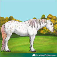 Horse Color:Nacre Watercolor Liver Red Dun Ice Sabino Tobiano Blanket 