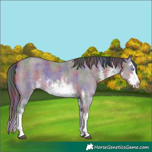 Horse Color:Nacre White Spotted Smoky Grullo Splash 