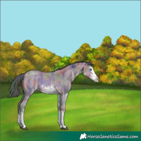 Horse Color:Nacre White Spotted Smoky Grullo Splash