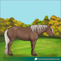 Horse Color:Silver Black 