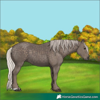 Horse Color:Silver Black 