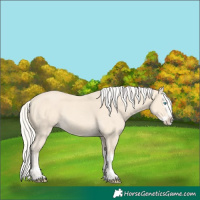 Horse Color:Cremello Splash  and Cremello Splash 