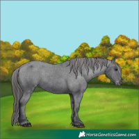 Horse Color:Black Varnish 