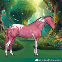 Horse Color:Watercolor Chestnut Tobiano Appaloosa 