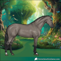 Horse Color:Grullo Rabicano
