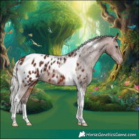Horse Color:Silver Bay Tobiano Appaloosa