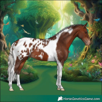 Horse Color:Silver Bay Tobiano Appaloosa