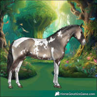 Horse Color:White Spotted Blue Onyx Tobiano Rabicano 